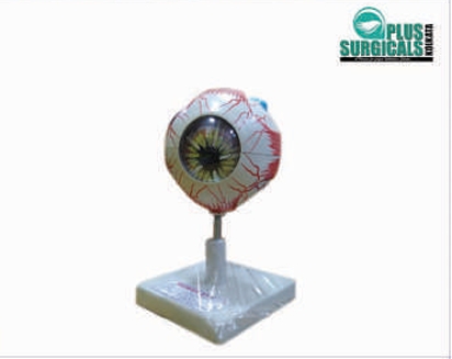 Eye Model